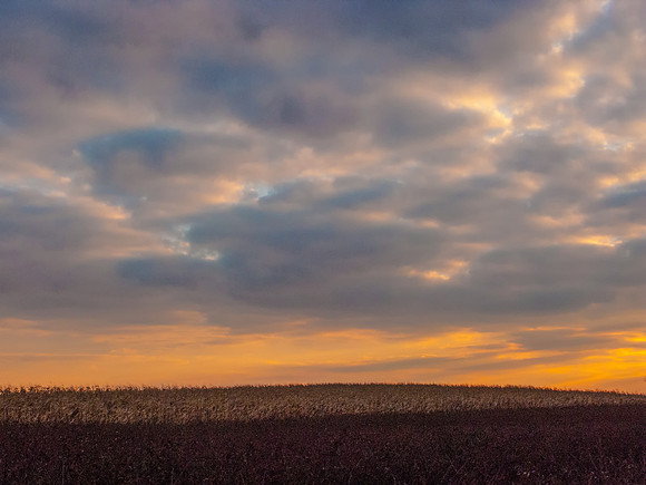 Autumn Sky