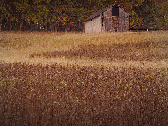 Barn in Reddish Brown Meadow