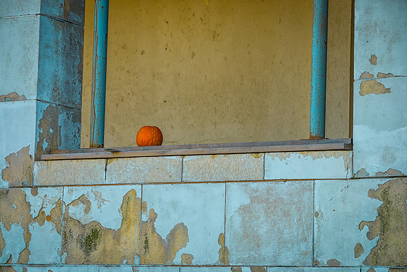 Pumpkin on Sill