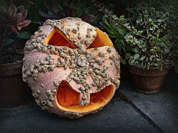 Scary Halloween Carved Pumpkin