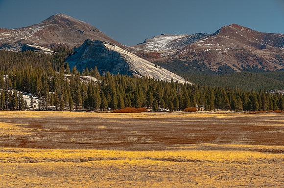 Tuolomne Meadows