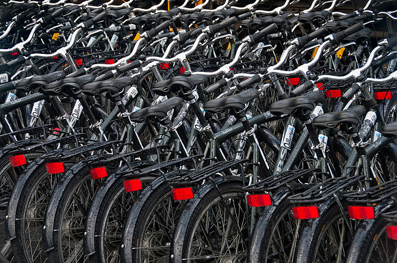 Bicycles a Plenty