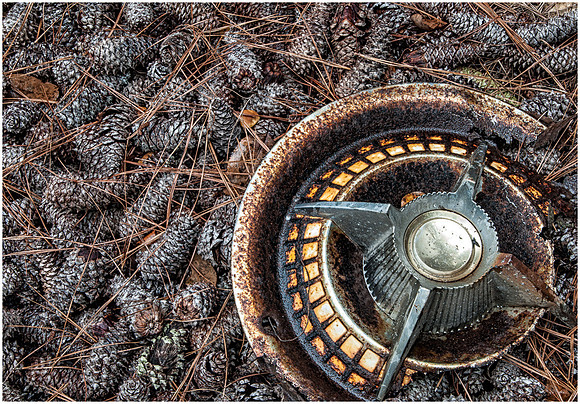 Hubcap in Pinecombs