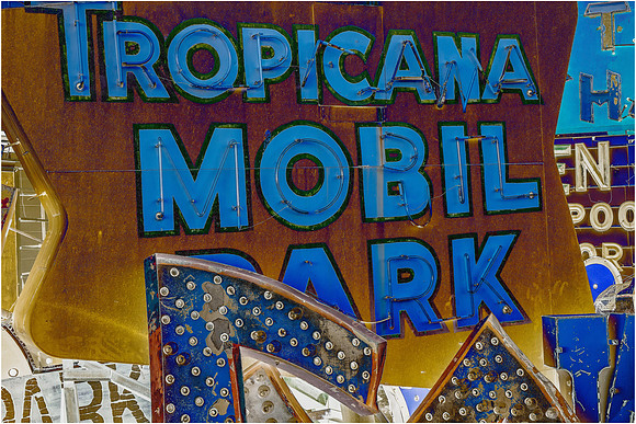 Solarized Tropicana Neon Sign