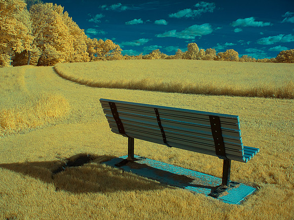 Infrared Bench on Natirar Nature Trail