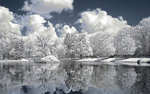 White Reflections in Infrared