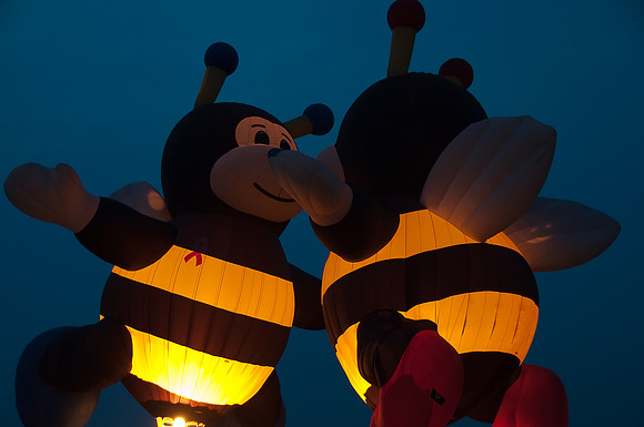 Moonglow Bees
