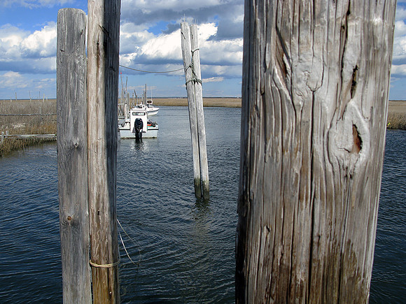 Through the Pilings