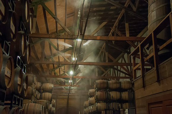 Wine Barrels in Storage