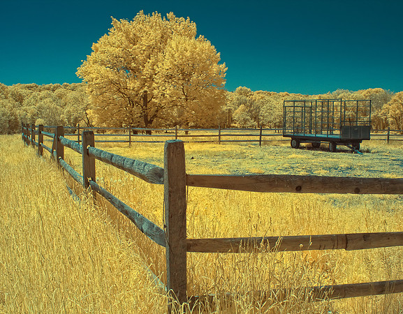 Hay Carrier in Infrared