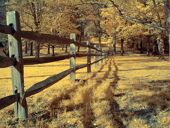 Natirar Infrared Shadowed Fence