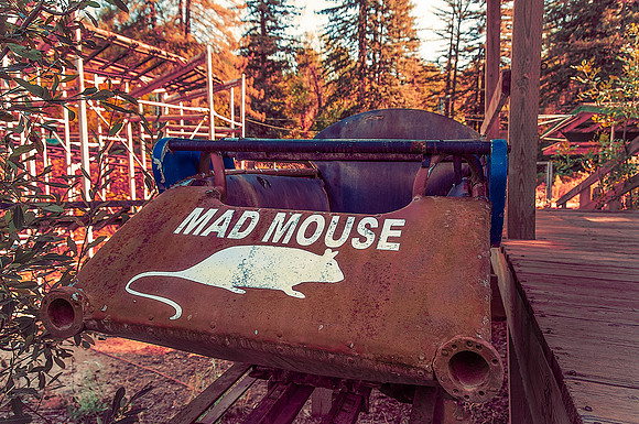 Mad Mouse Coaster Car